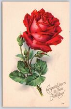 Congratulations To Your Birthday Beautiful Red Roses Greetings Postcard picture