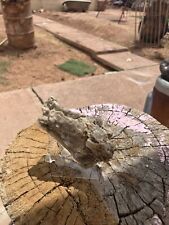 Selenite Natural Clear  West Texas 6.1 Ounces Rough Natural picture