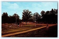 c1960's Smith-Walbridge Camp Trees Syracuse Indiana IN Unposted Vintage Postcard picture