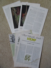 Article Bambo, Barnyard Grasses, Kentucky Bluegrass, Yellow Foxtail, Hemp Plant picture