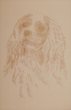 Cavalier King Charles Spaniel Dog Art Portrait #27 Kline adds dog name free. picture