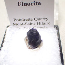 Fluorite, Poudrette Quarry, Mont-Saint-Hilaire, Quebec, Canada picture
