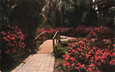Lakeland FL Florida, Cypress Gardens Flowers Walkway & Bridge, Vintage Postcard picture