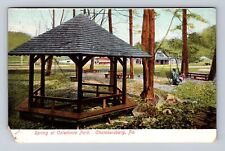 Chambersburg PA-Pennsylvania, Spring At Caledonia Park, Vintage c1907 Postcard picture