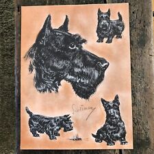 Vtg Scottish Terrier Print Black Scottie Dog Illustration Lucy Dawson Scotsmen picture
