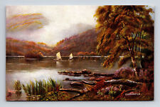 Ullswater Picturesque Lakes Series UK Raphael Tuck's Oilette Postcard picture