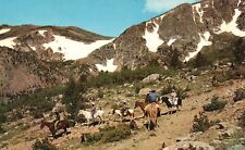 Postcard CO Colorado Rockies Horseback in the Rockies Chrome Vintage PC G3712 picture