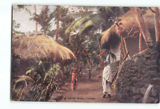 Old Vintage Postcard of A Village Scene Ceylon picture