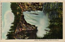 Vintage Postcard- Upper Falls, Yellowstone National Park Early 1900s picture