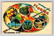 FL-Florida, Greetings, The Sunshine State, Vintage Postcard picture