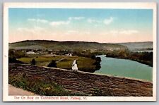 Ox Bow Connecticut River Putney Vermont Riverfront Mountains Vintage Postcard picture
