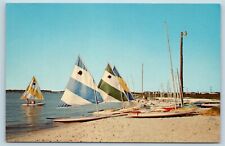 Postcard DE Rehoboth Beach Delightful Day on Bay Sail Paddle Boat N13 picture