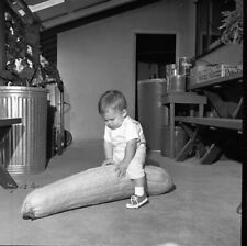 Vintage  Negative B&W Med Format Child Baby with Giant Squash #237 picture