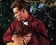 Rebel Without A Cause James Dean comforts Natalie Wood 24x30 inch poster picture