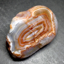 Lake Superior Agate 0.98 oz 'BEAUTIFUL FORTIFICATION' Rough Top Shelf Gemstone picture