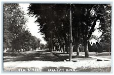 c1910's Oak Street Residence Home View Lake City MN RPPC Photo Postcard picture