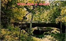 Vintage Postcard- Natural Bridge, Clinton, AR 1960s picture