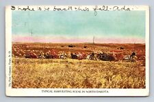 Hay Grain Harvesting Scene in North Dakota Horses Farming Fields Postcard picture