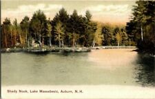 1905. LAKE MASSABESIC. AUBURN, NH. POSTCARD. RC13 picture