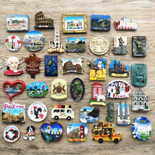 European American Asian Tourism Travel Souvenir Art 3D Resin Fridge Magnet K1 picture