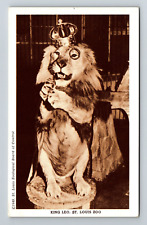 St Louis MO-Missouri, King Leo, St Louis Zoo, Vintage Postcard picture