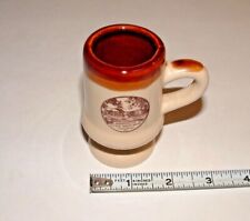 Roosevelt's Little White House Warm Springs, GA Ceramic Mini Mug, pre-owned picture