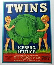 Vintage Twins Original 1940s Watsonville, CA Iceberg Lettuce Crate Label (B-2) picture