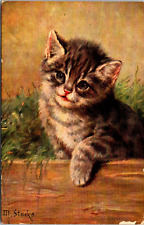 Postcard 1908 Kitten, Signed M. Stocks, M Series #381, Mailed to Laurens Iowa picture