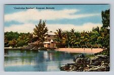 Somerset Bermuda, Cambridge Beaches, Pink Sand Beach, Antique Vintage Postcard picture