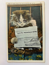 Vintage Postcard Cat reading newspaper, White Mountains N.H., postmarked 1932 picture