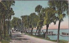 Rockledge Boulevard Florida c1910s Unposted Postcard picture