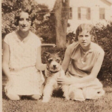 5V Photograph Girls Young Women Pet Dog 1930's  picture