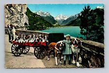 St Bernard Dogs and Puppies on a Wagon with a Boy - Switzerland Postcard picture