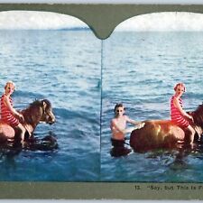 c1900s Cute Kids Girl Ride Pony Lake Stereo Litho Photo Swimming Horse V26 picture
