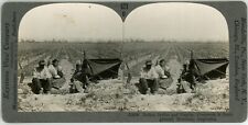 c1900's Real Photo Stereoview Italian Settler and Family. Vinyards in Argentina picture