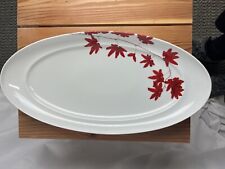 Mikasa Pure Red Oval Serving Platter SL134 picture