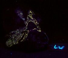 Fluorescent Piece of AZ Yellow Fluorescing Calcite SW UV Specimen picture