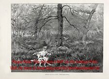 Dog English Setter Pair Points Woodcock, Breed ID'd, Large 1880s Antique Print picture