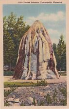 Teepee Fountain Thermopolis Wyoming WY Postcard C17 picture