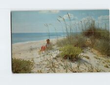 Postcard Along the Beautiful Sandy Beaches of Florida USA North America picture