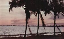 Vintage Postcard 1952 Florida Coast Sunset View Palms Valence Color Studios Pub. picture
