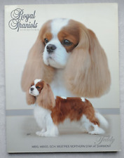 Cavalier King Charles Royal Spaniel Magazine Winter Edition 2012 Vol 17 Number 4 picture