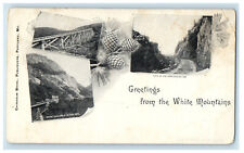 c1900s Greetings from the White Mountains Unposted Antique WMMC Postcard picture