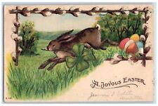 c1905 Easter Rabbit Shamrock Clover Eggs Embossed Glitter Antique Postcard picture