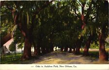 Oaks in Audubon Park New Orleans LA Divided Postcard c1909 picture