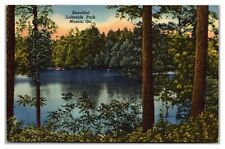 Beautiful Lakeside Park, Macon, Georgia Postcard picture