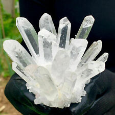 New Find white Phantom clear Quartz Crystal Cluster Mineral Specimen Healing 1pc picture