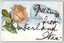 Cumberland Wisconsin WI Postcard Greetings Embossed Flowers Leaves 1911 Antique picture
