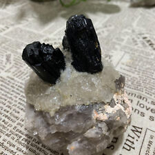 2.01LB  Natural Black Tourmaline Quartz Crystal Mineral Specimens Healing picture
