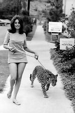 Vintage Leopard Photo 2724 Oddleys Strange & Bizarre picture